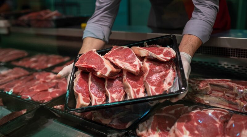 Study: Small portions of meat make a significant contribution to reducing meat consumption in the United Kingdom. Image Credit: UlgenDes/Shutterstock.com