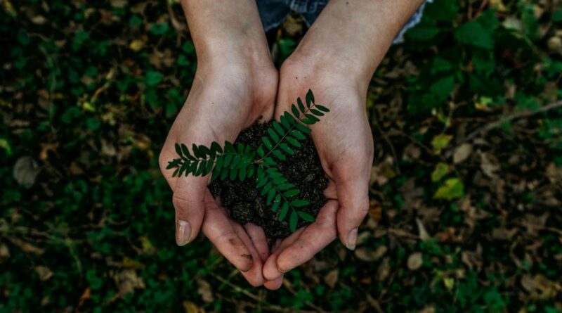 British Columbia spends $9.2 million on climate, nutrition, health and other projects